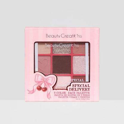 XMAS 2026 Special Delivery 9 Color Face Palette